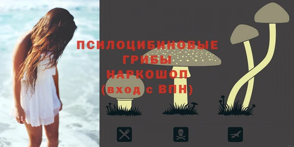 мет Новозыбков