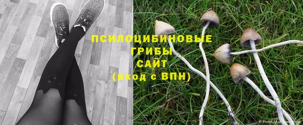 мет Новозыбков