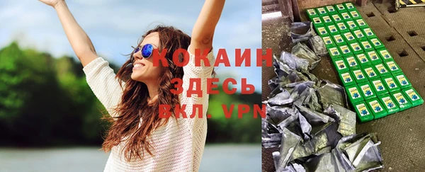 мет Новозыбков