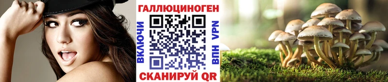 Псилоцибиновые грибы Psilocybe  Купить закладки  Усть-Лабинск 